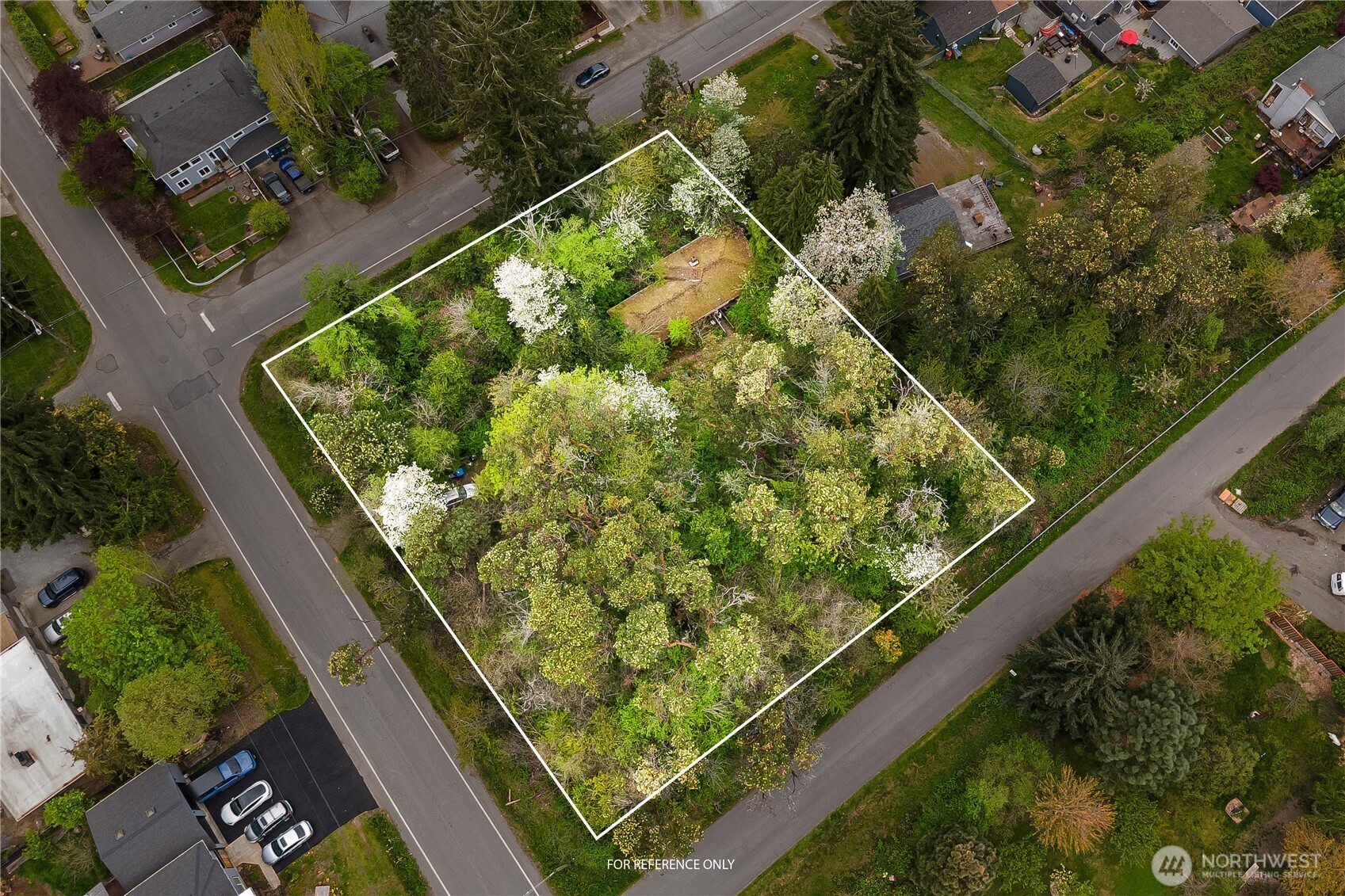 10434 22nd Avenue SW, Seattle, WA 98146