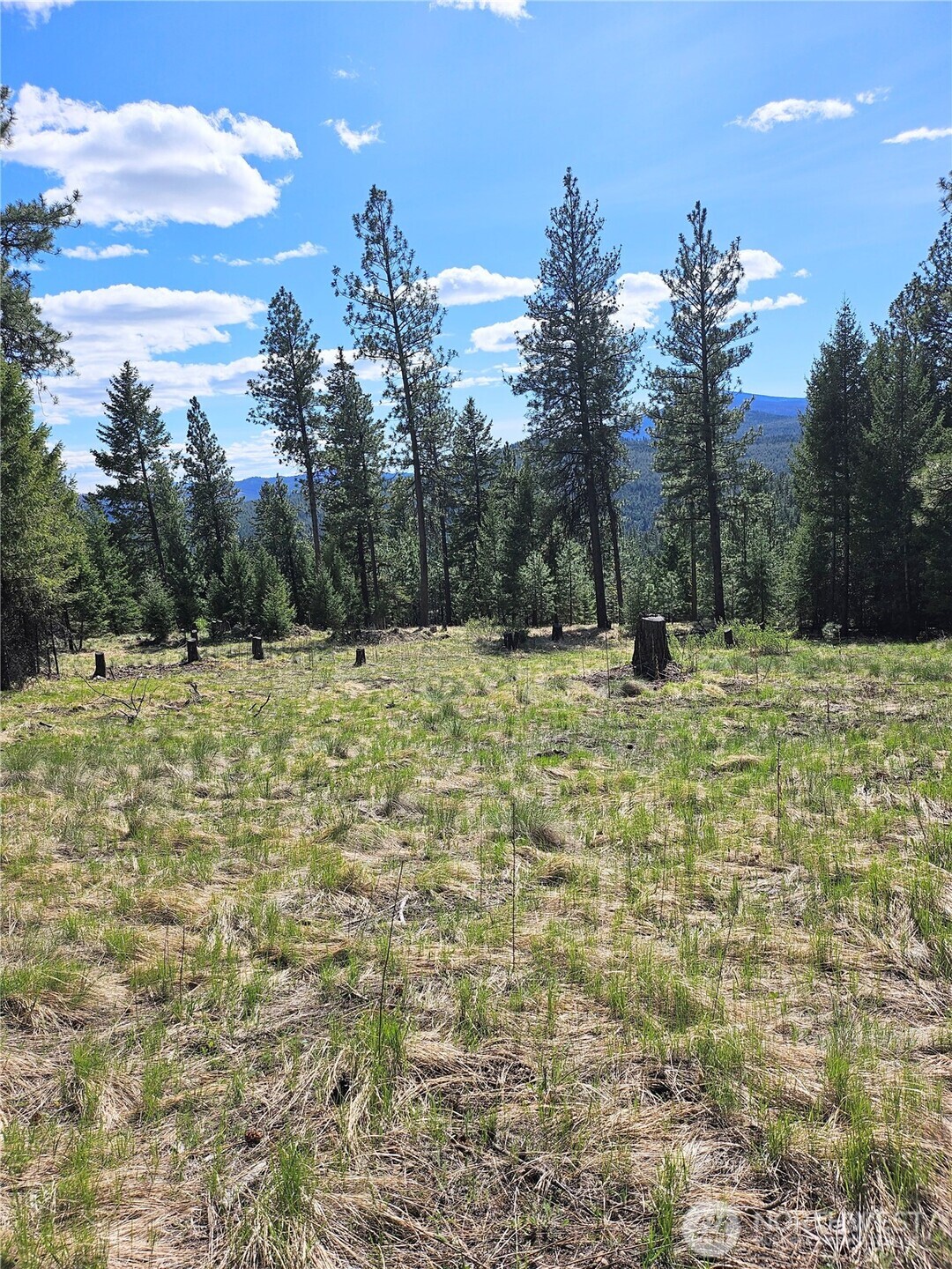 168 Prior Loop Road , Oroville, WA 98844