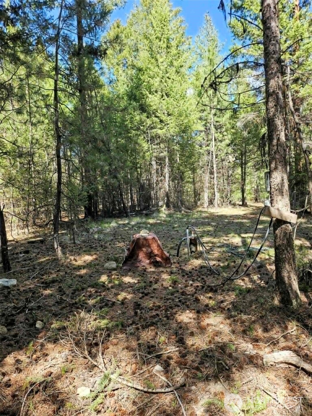 168 Prior Loop Road , Oroville, WA 98844