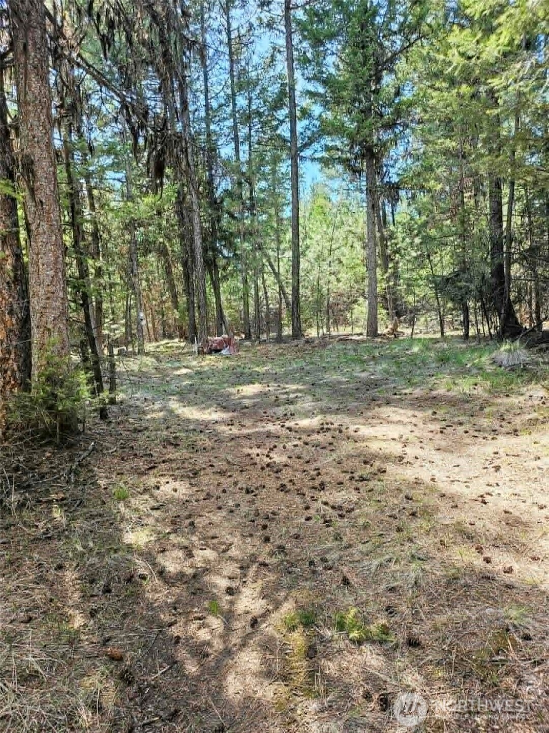 168 Prior Loop Road , Oroville, WA 98844