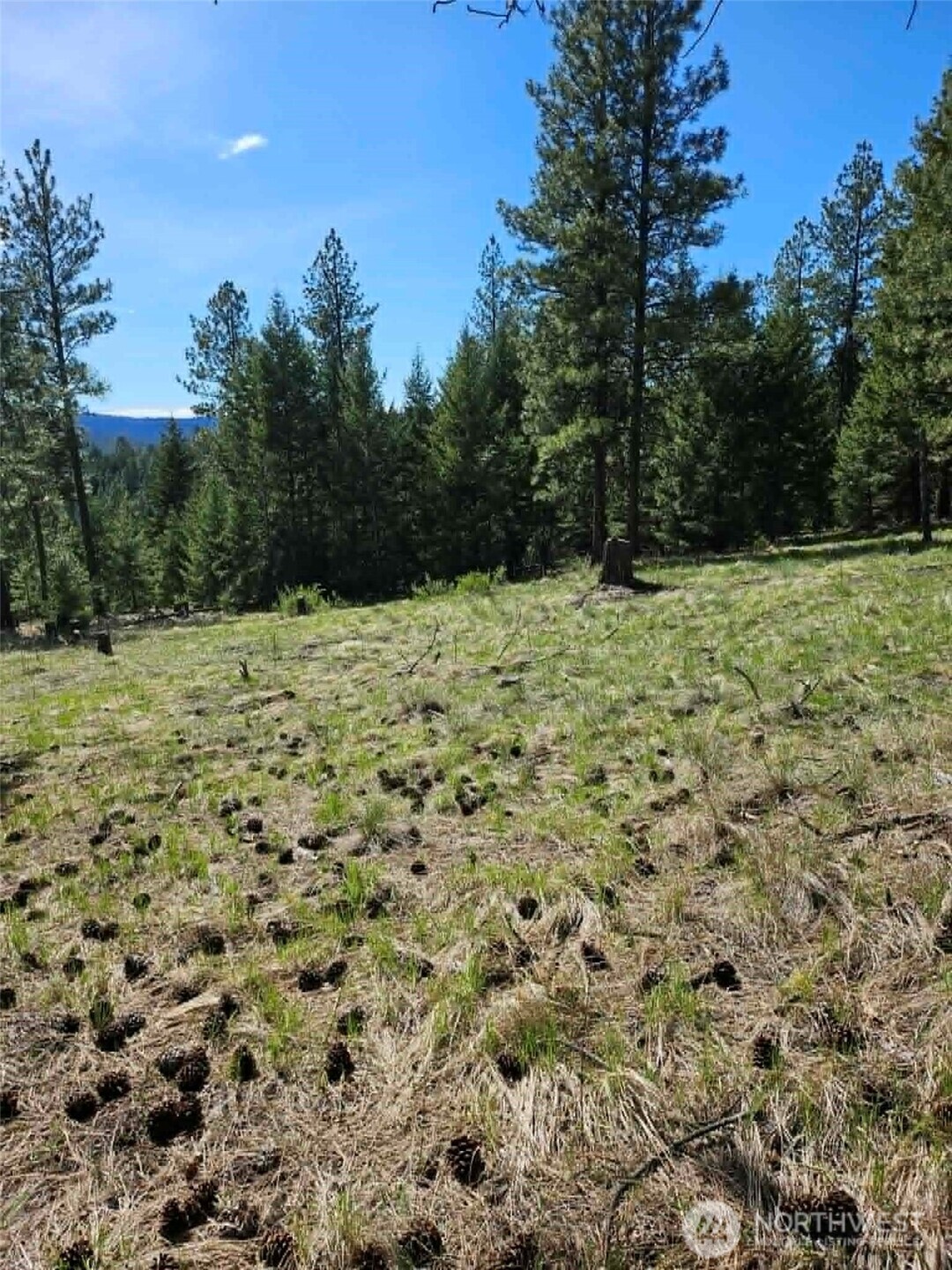 168 Prior Loop Road , Oroville, WA 98844