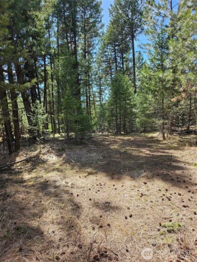 168 Prior Loop Road , Oroville, WA 98844 - Photo 4