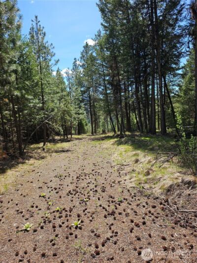 168 Prior Loop Road , Oroville, WA 98844 - Photo 2