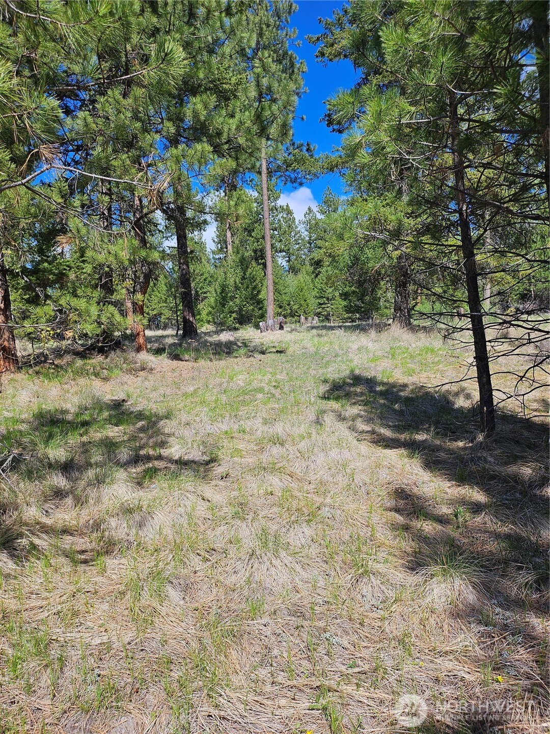 168 Prior Loop Road , Oroville, WA 98844