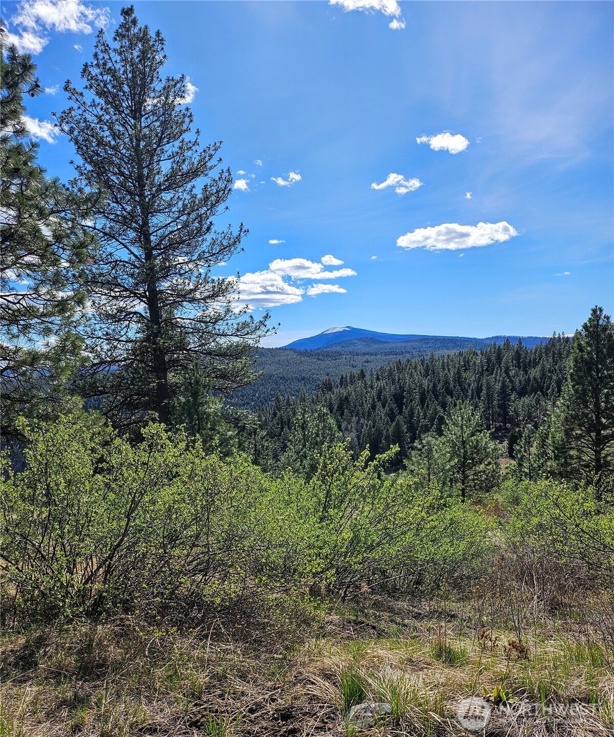 168 Prior Loop Road , Oroville, WA 98844