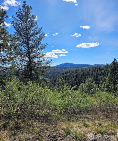 168 Prior Loop Road , Oroville, WA 98844 - Photo 7