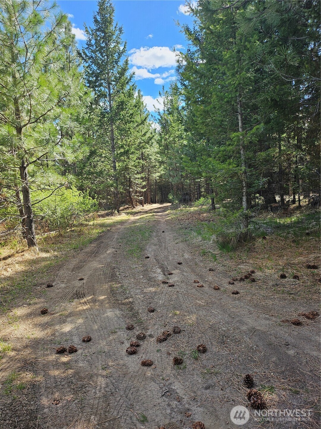 168 Prior Loop Road , Oroville, WA 98844