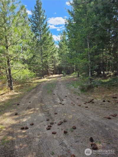 168 Prior Loop Road , Oroville, WA 98844 - Photo 8