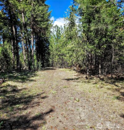 168 Prior Loop Road , Oroville, WA 98844 - Photo 3