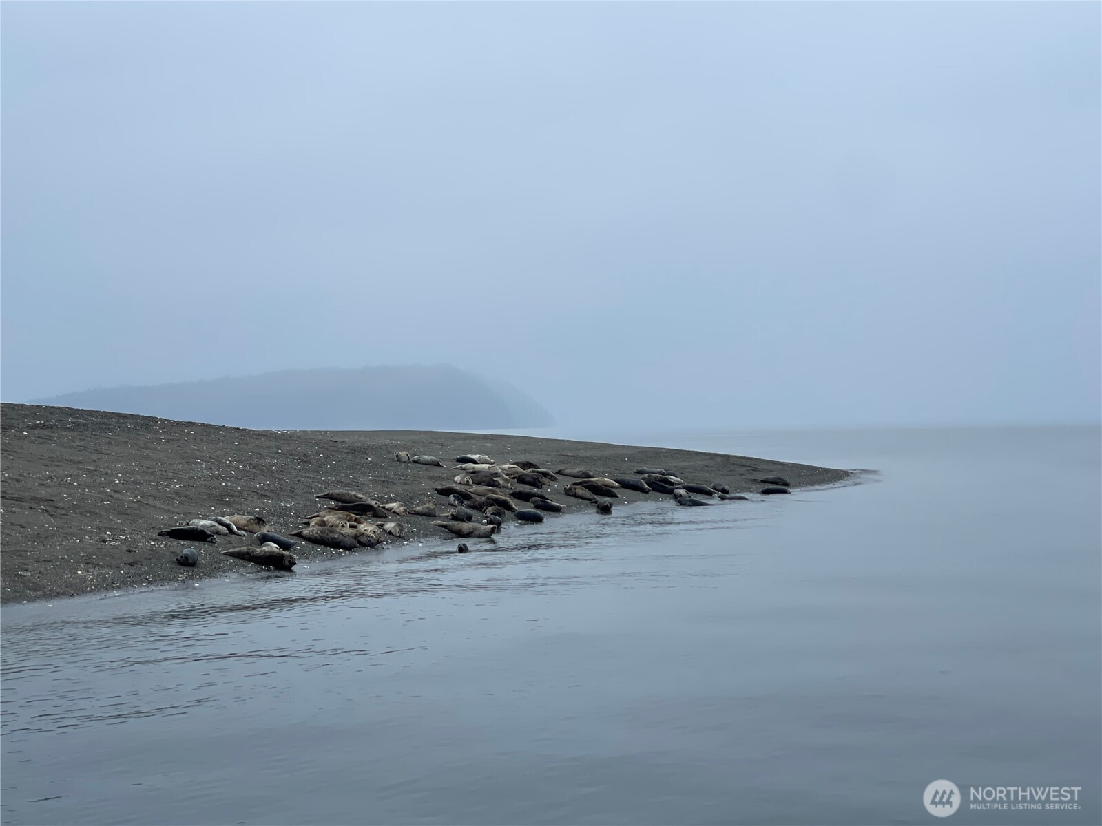 11 C Tax ID: 00466300001100 , Hat Island, WA 98206