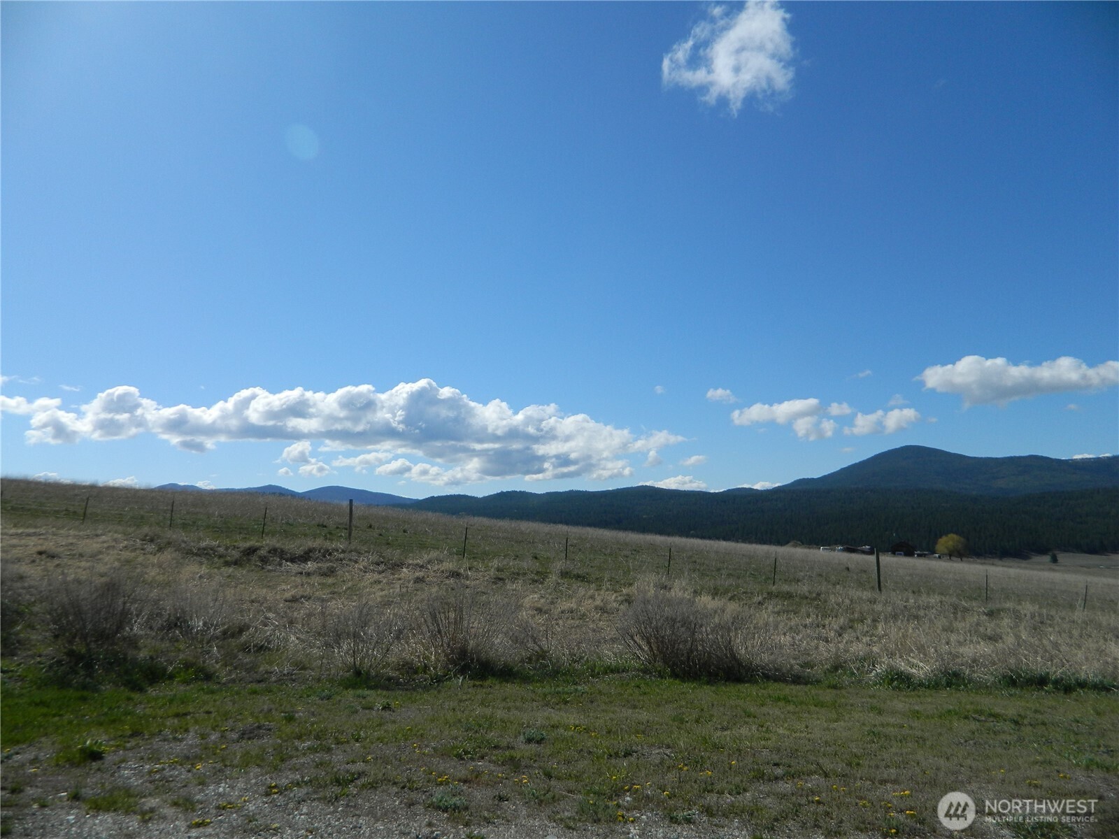 100 Summer , Tonasket, WA 98855