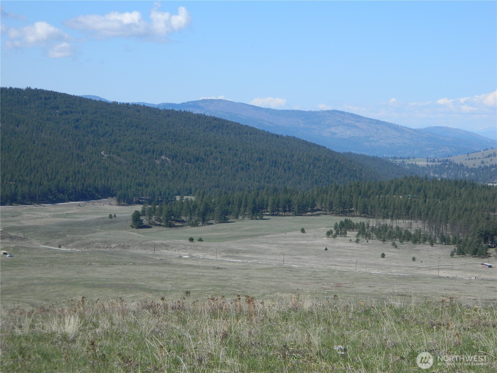 100 Summer , Tonasket, WA 98855
