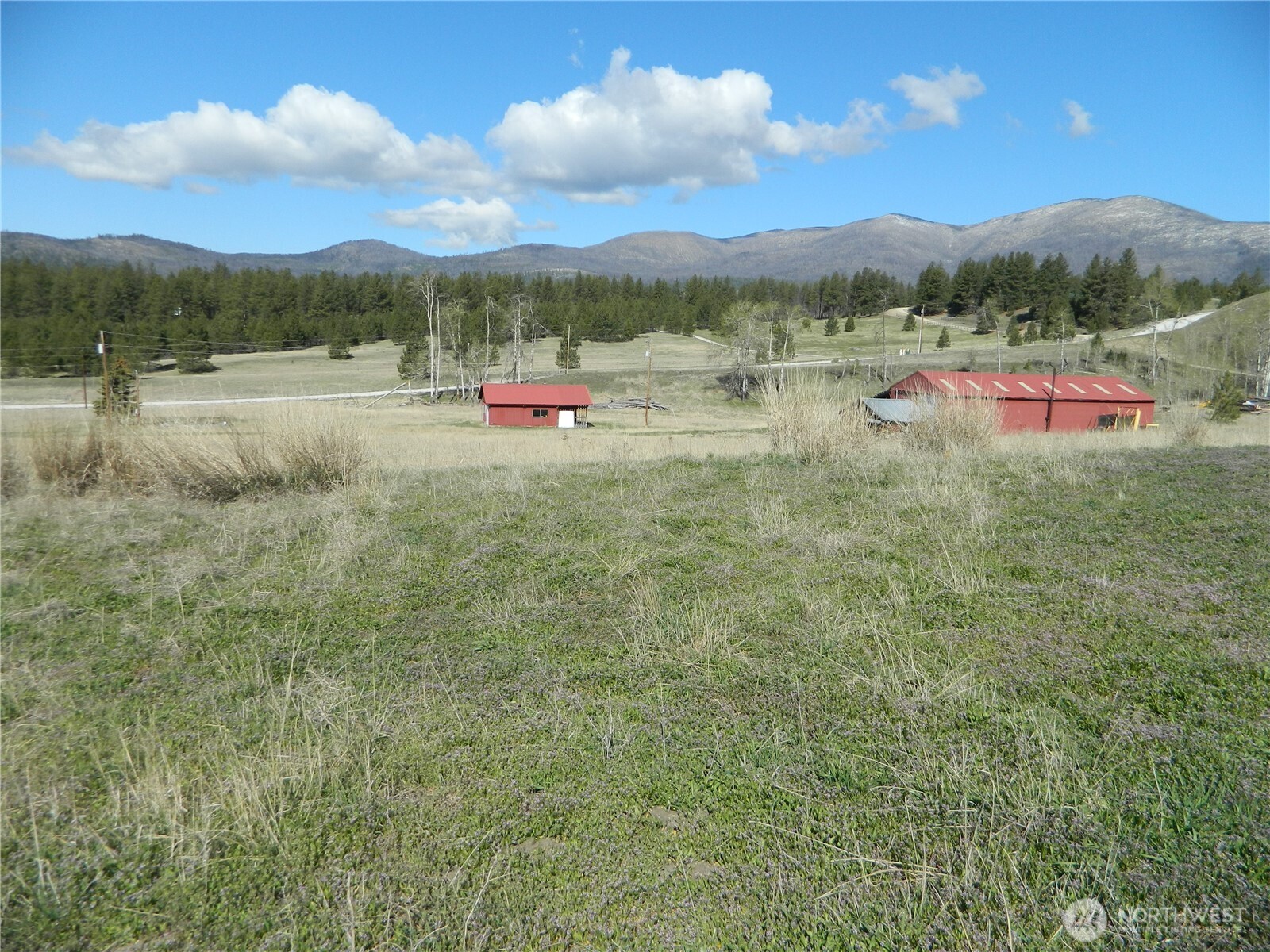 100 Summer , Tonasket, WA 98855