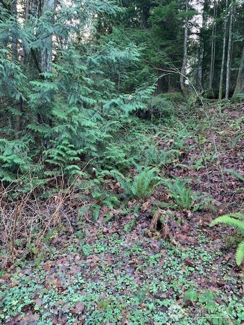283 xx SE 146th Street , Issaquah, WA 98027
