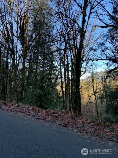 283 xx SE 146th Street , Issaquah, WA 98027 - Photo 2