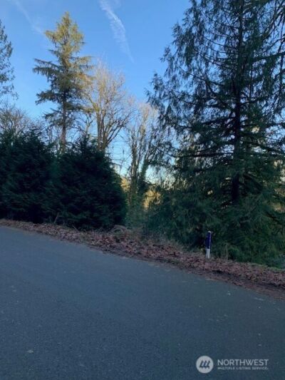 283 xx SE 146th Street , Issaquah, WA 98027 - Photo 3