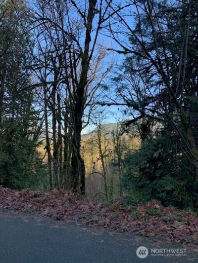 283 xx SE 146th Street , Issaquah, WA 98027 - Photo 5