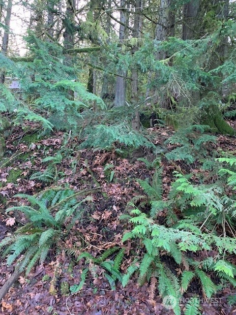 283 xx SE 146th Street , Issaquah, WA 98027