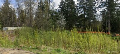 13615 26th Place W, Lynnwood, WA 98037