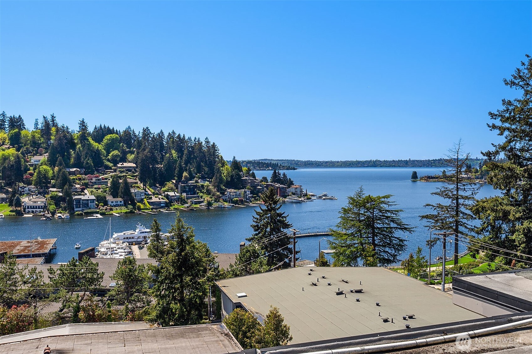 9909 NE 1st Street #104, Bellevue, WA 98004