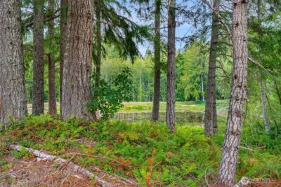 9048 NW Holly Road , Bremerton, WA 98312 - Photo 24