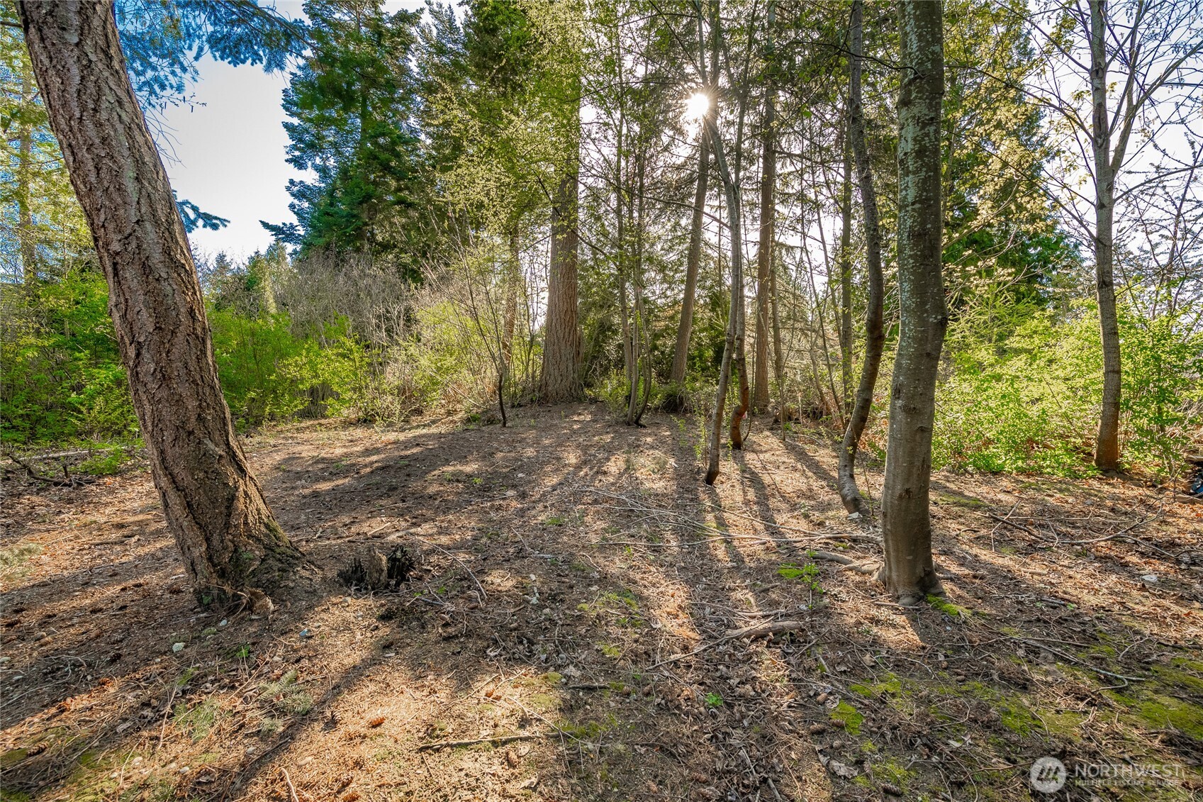 8647 Great Horned Owl Lane , Blaine, WA 98230