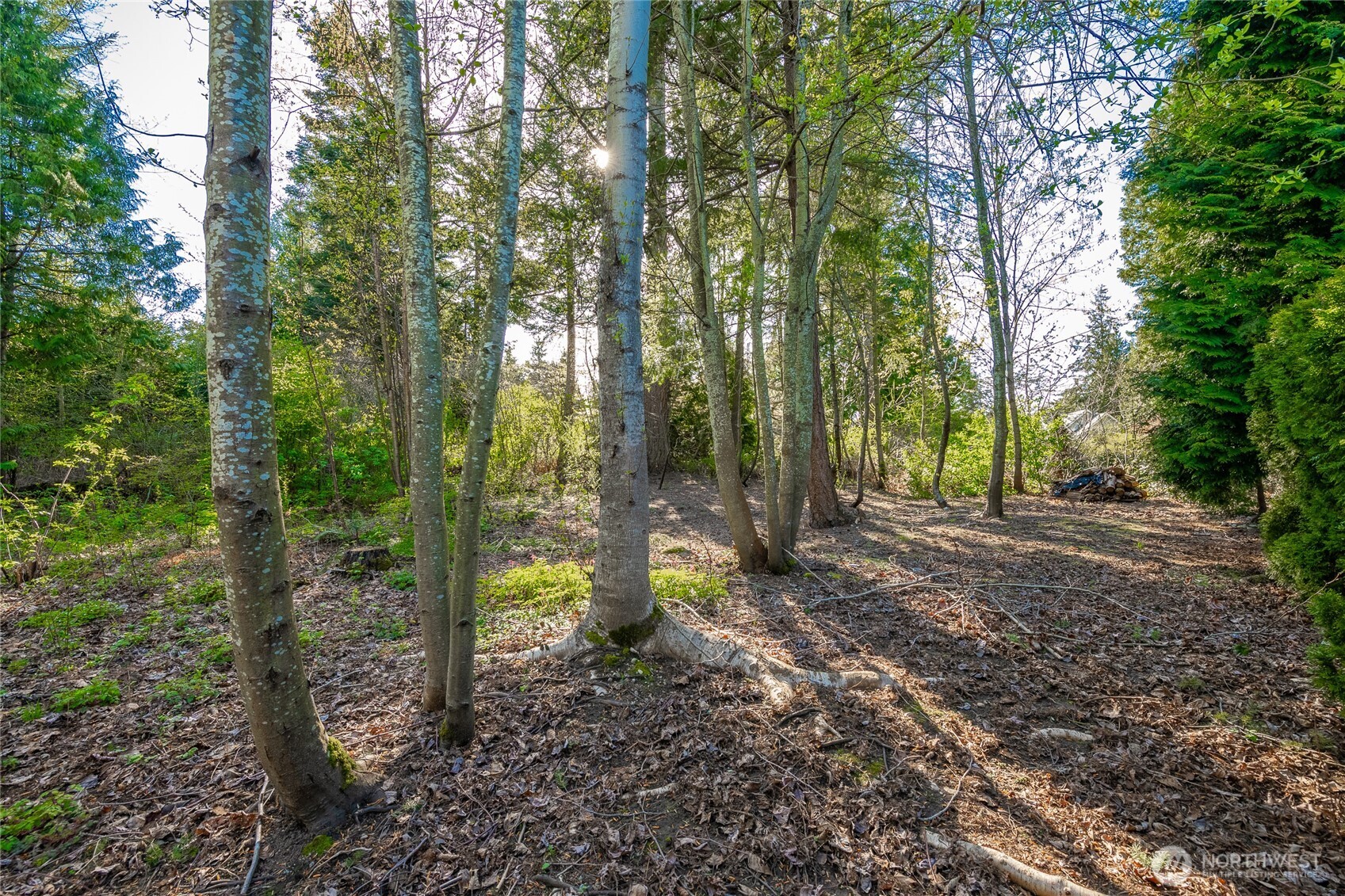 8647 Great Horned Owl Lane , Blaine, WA 98230
