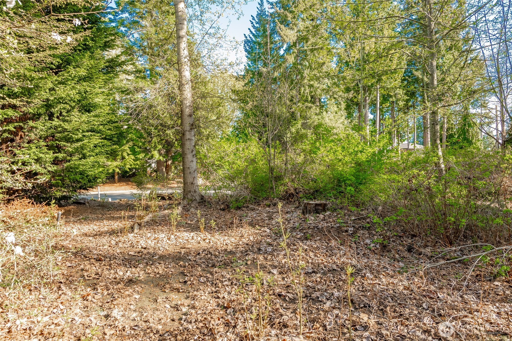 8647 Great Horned Owl Lane , Blaine, WA 98230