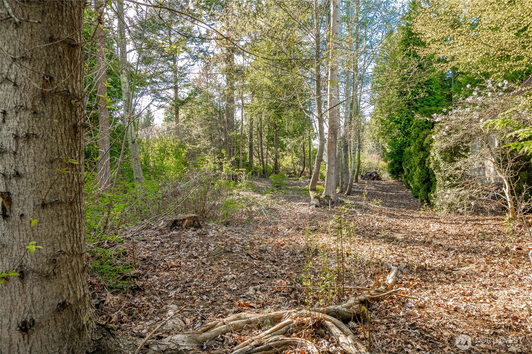 8647 Great Horned Owl Lane , Blaine, WA 98230
