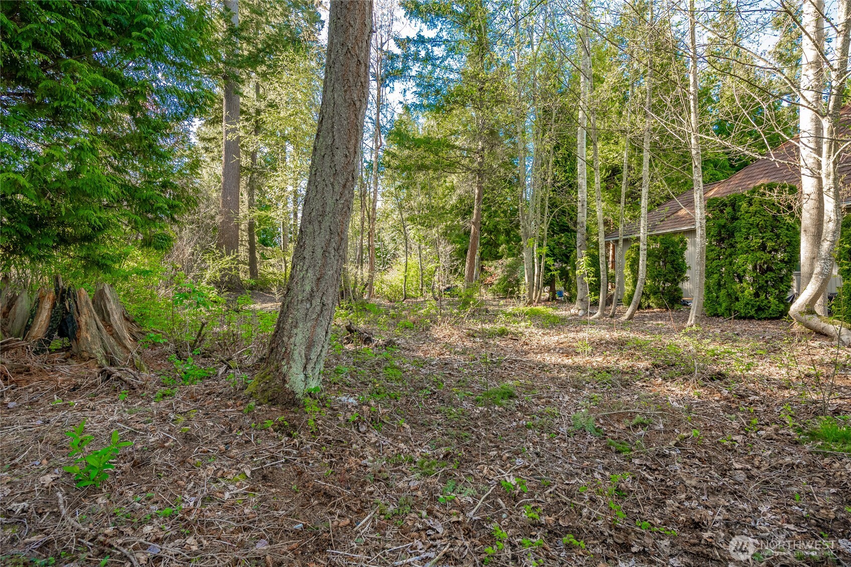8647 Great Horned Owl Lane , Blaine, WA 98230