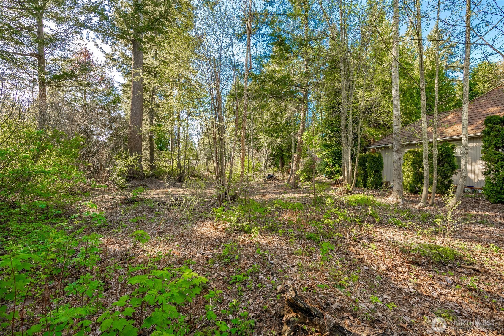 8647 Great Horned Owl Lane , Blaine, WA 98230