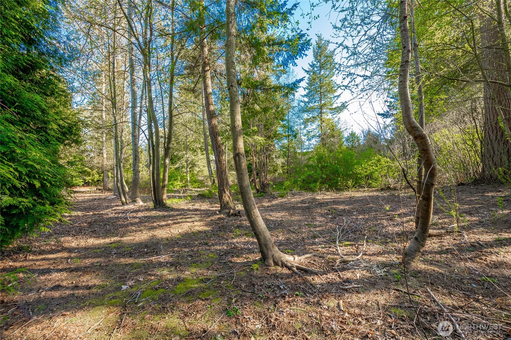 8647 Great Horned Owl Lane , Blaine, WA 98230
