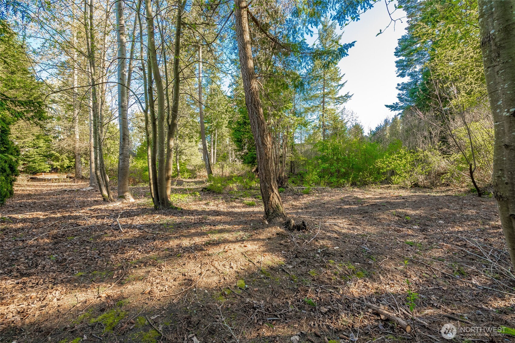 8647 Great Horned Owl Lane , Blaine, WA 98230