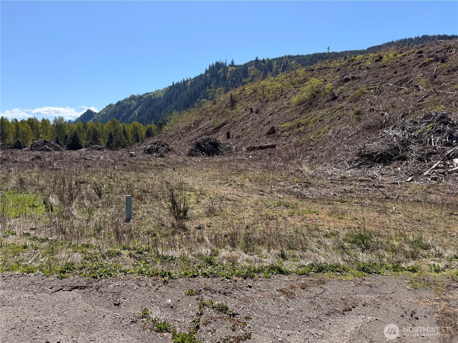 3 US Highway 12 , Glenoma, WA 98336