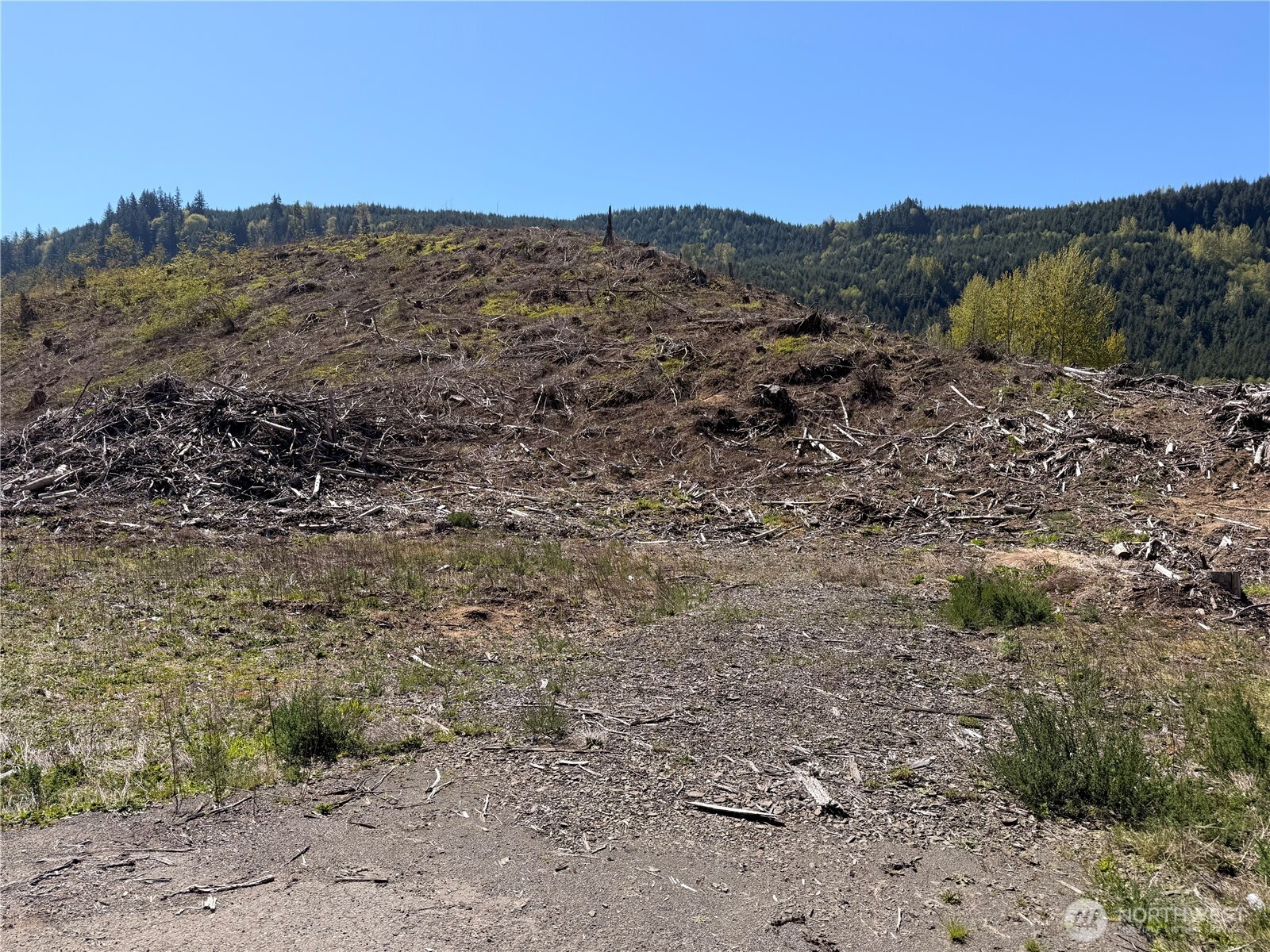 3 US Highway 12 , Glenoma, WA 98336