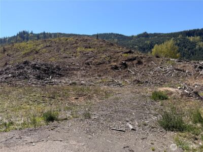 3 US Highway 12 , Glenoma, WA 98336 - Photo 2