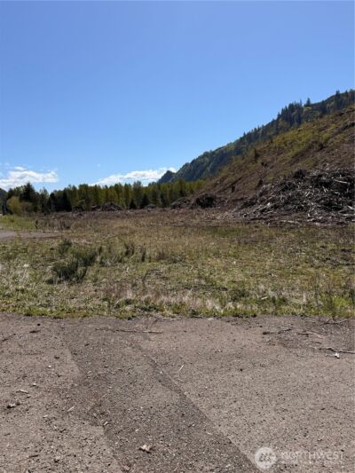 3 US Highway 12 , Glenoma, WA 98336 - Photo 3