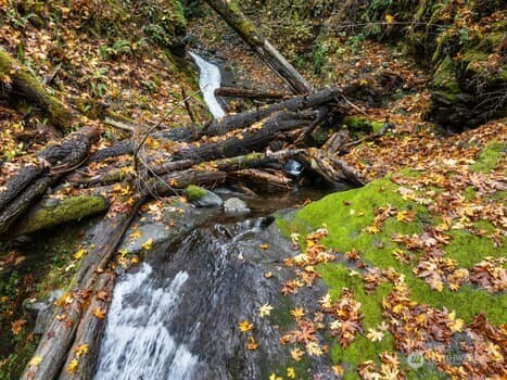 0 US HWY 101 , Lilliwaup, WA 98555