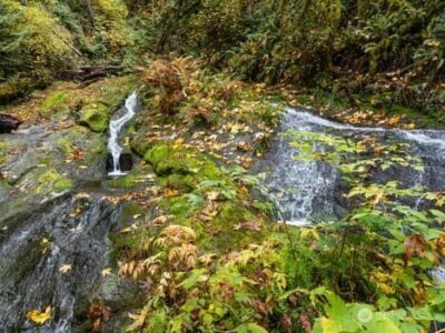 0 US HWY 101 , Lilliwaup, WA 98555 - Photo 13