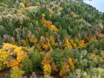 0 US HWY 101 , Lilliwaup, WA 98555 - Photo 4