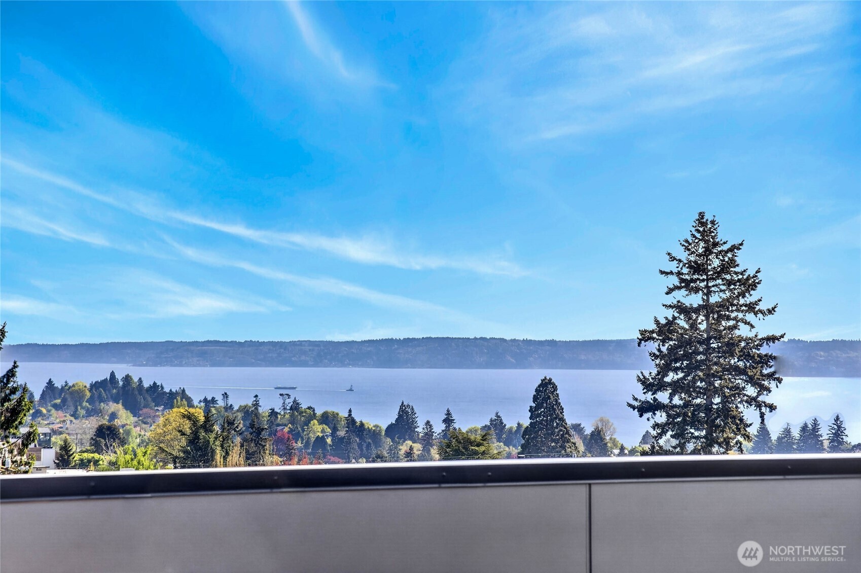 4142 44th Avenue SW, Seattle, WA 98116