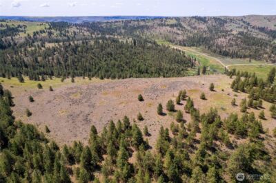 0 Peter Dan Rd , Coulee Dam, WA 99116 - Photo 4