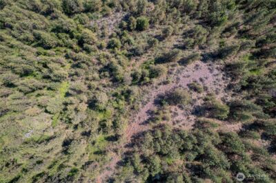 0 Peter Dan Rd , Coulee Dam, WA 99116 - Photo 6