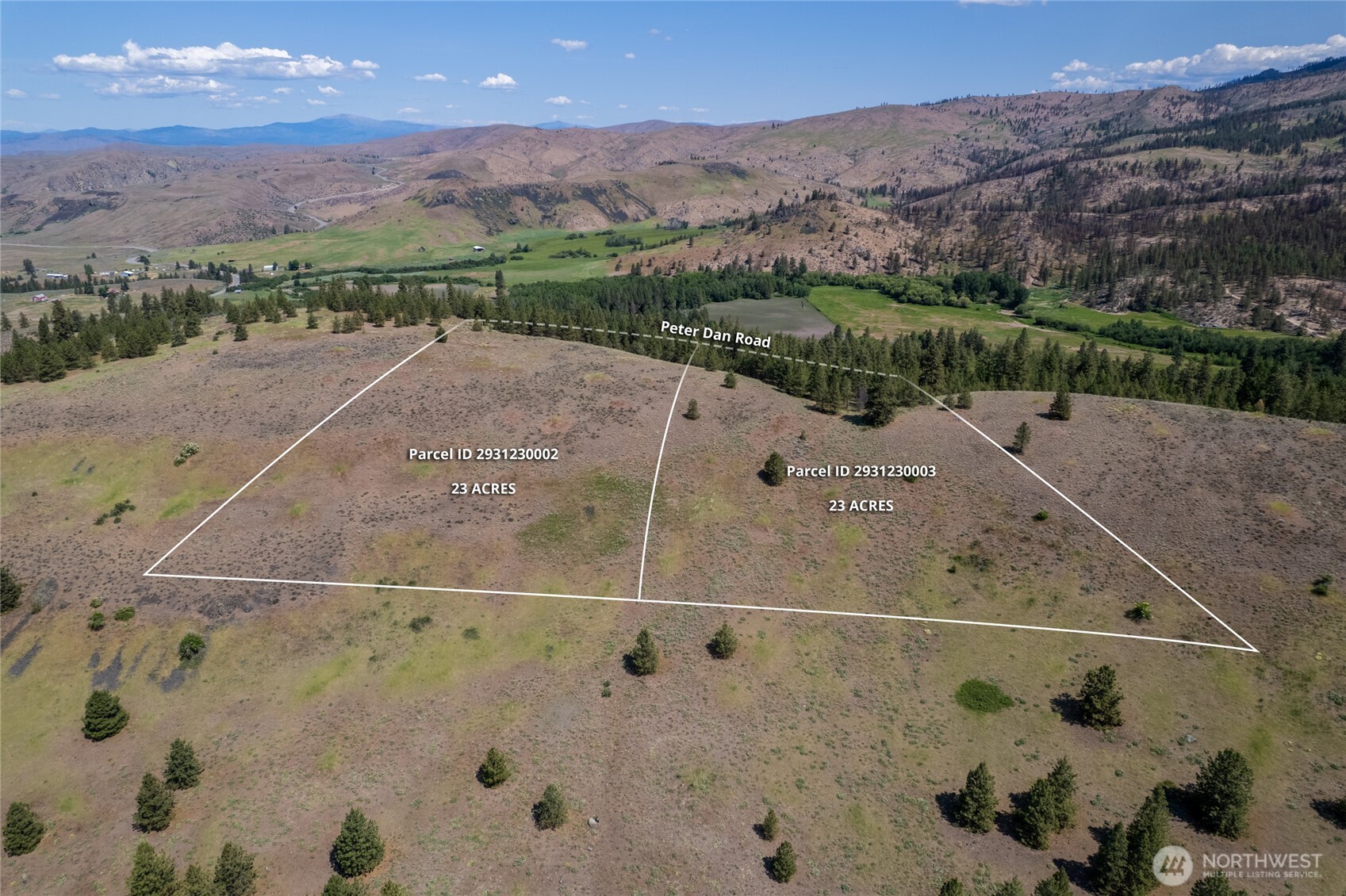 0 Peter Dan Creek Rd , Coulee Dam, WA 99116