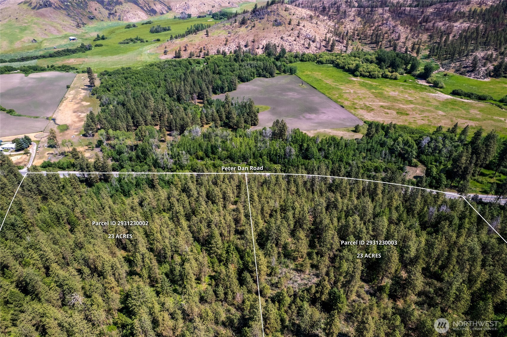 0 Peter Dan Creek Rd , Coulee Dam, WA 99116