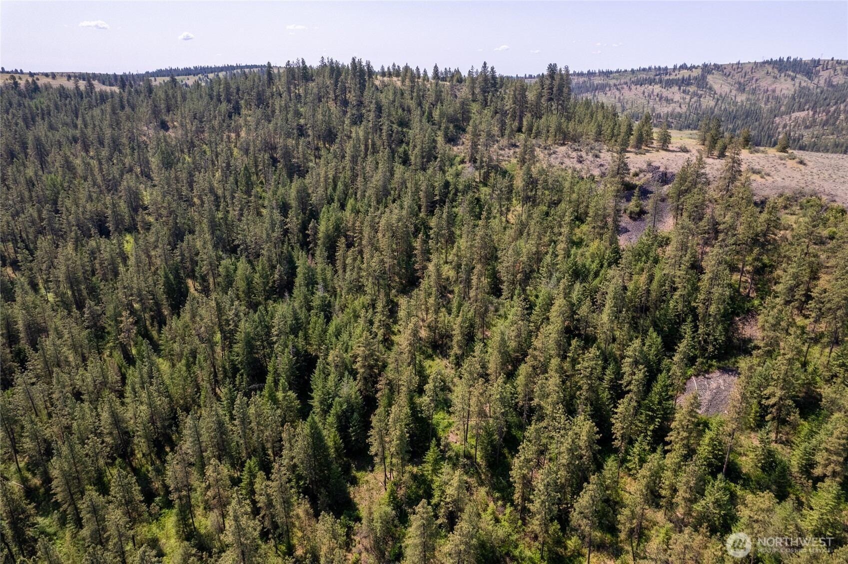0 Peter Dan Creek Rd , Coulee Dam, WA 99116