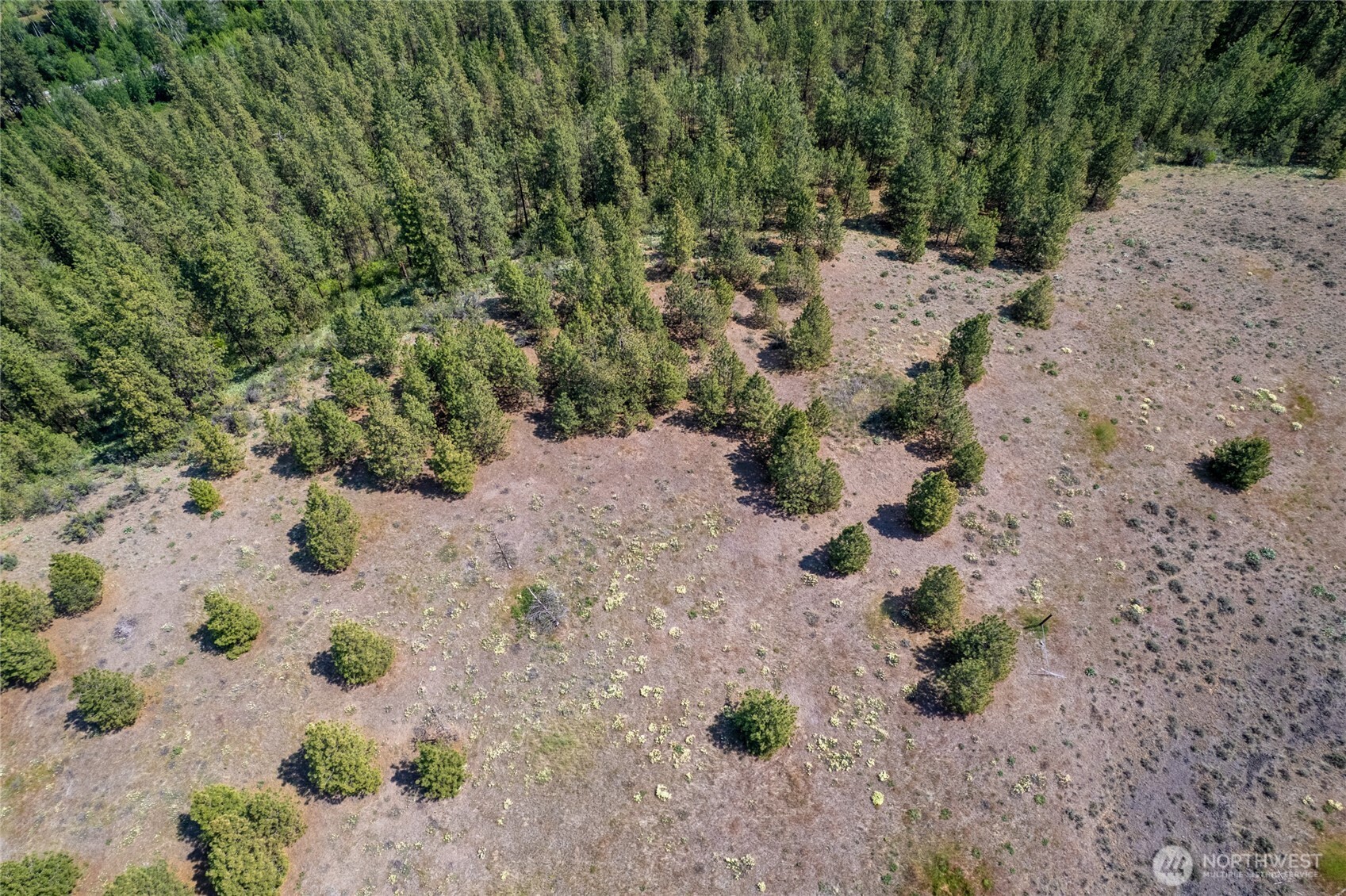 0 Peter Dan Creek Rd , Coulee Dam, WA 99116