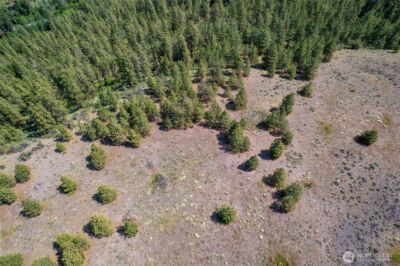 0 Peter Dan Creek Rd , Coulee Dam, WA 99116 - Photo 7