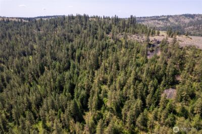 0 Peter Dan Creek Rd , Coulee Dam, WA 99116 - Photo 1