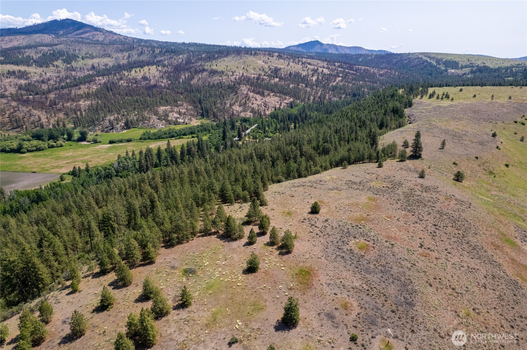 0 Peter Dan Creek Rd , Coulee Dam, WA 99116